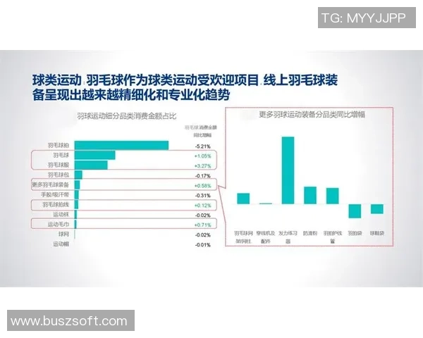 深圳羽毛球队战术表现深度解析与数据分析探讨