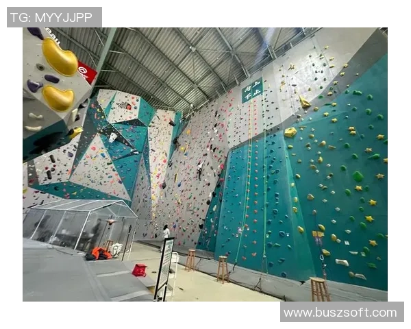 深入分析上海攀岩队的运营策略与发展模式探讨 深入分析上海攀岩队的运营策略与发展模式探讨